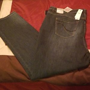 Lane Bryant Genius Fit Jeans
